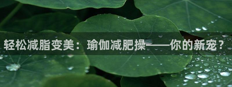 沃尔沃xc什么意思