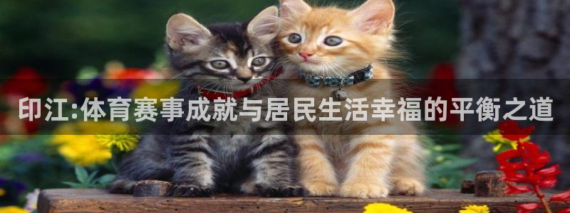 杏彩官网平台