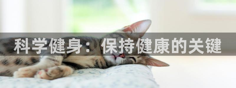 杏彩xc5