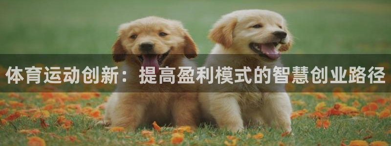 杏彩xc平台开户链接