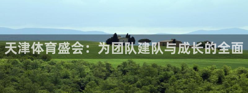 xc是什么材质