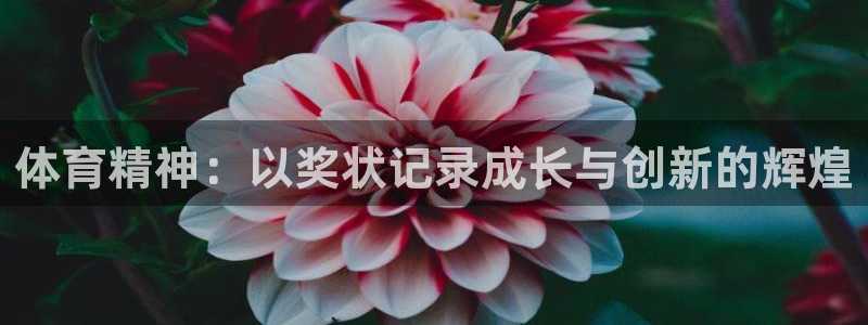 杏彩xc体育代理