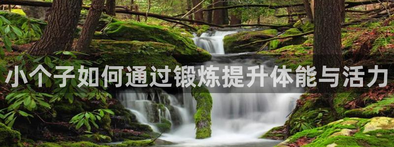 杏彩xc2平台登录