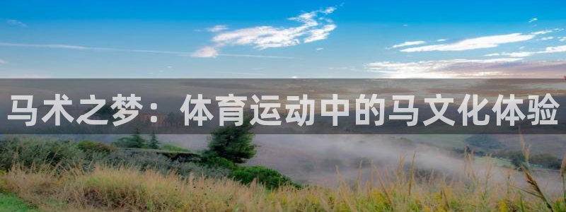 xc是代表什么意思