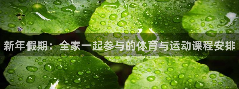 xc是啥意思