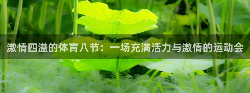 杏彩xc体育平台总代理