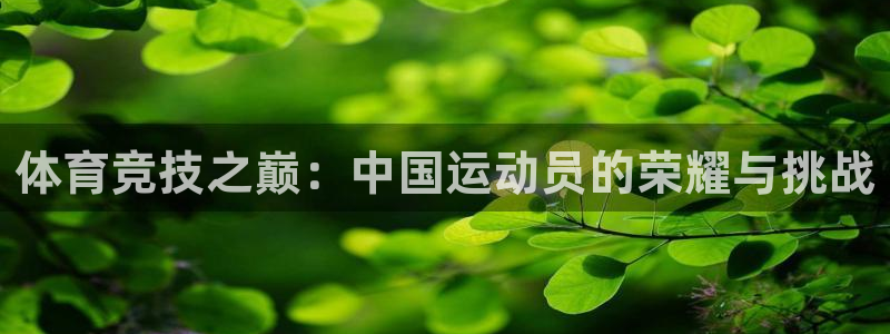 xc是什么品牌