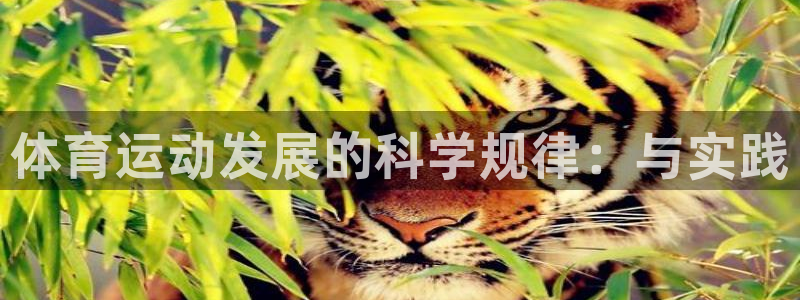 杏彩xc4开户