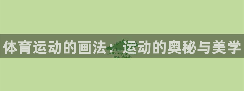 xc业务是什么意思