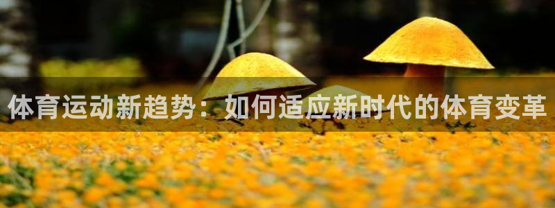 xc业务是什么意思