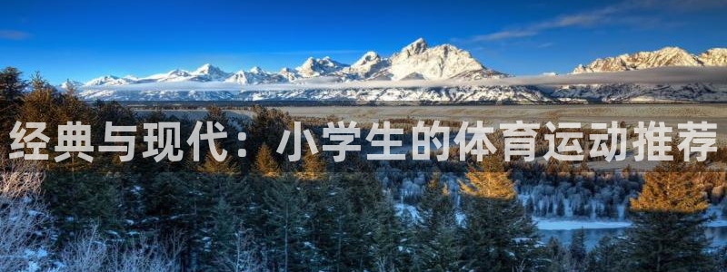 东莞市杏彩xc电子科技有限公司