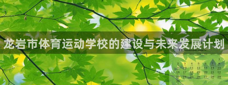 xc是什么意思