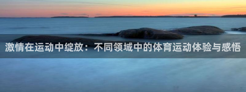 xcc是什么意思