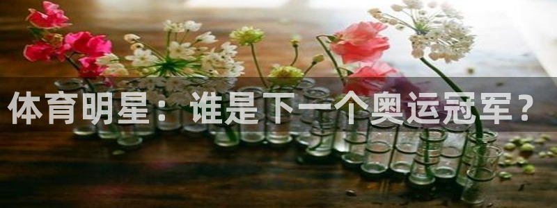 杏彩xc4