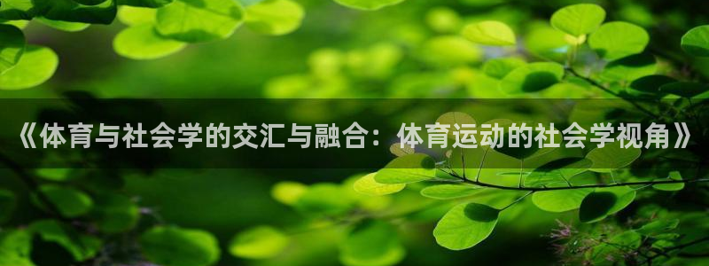 xc是什么车牌