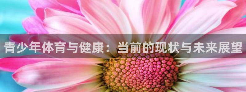 杏彩xc体育f开户