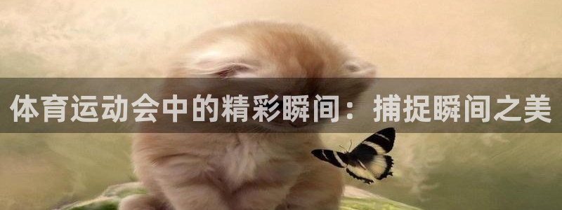杏彩xc招商