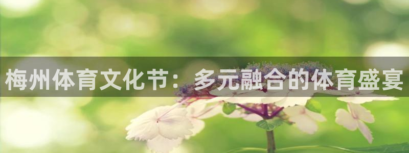 沃尔沃xc90多重