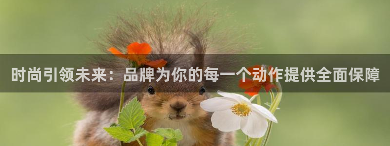 xc是什么材质