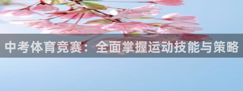 杏彩xc平台注册